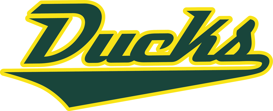 Oregon Ducks 2013-Pres Wordmark Logo diy iron on heat transfer